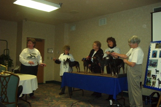 Terrier Seminar 2002